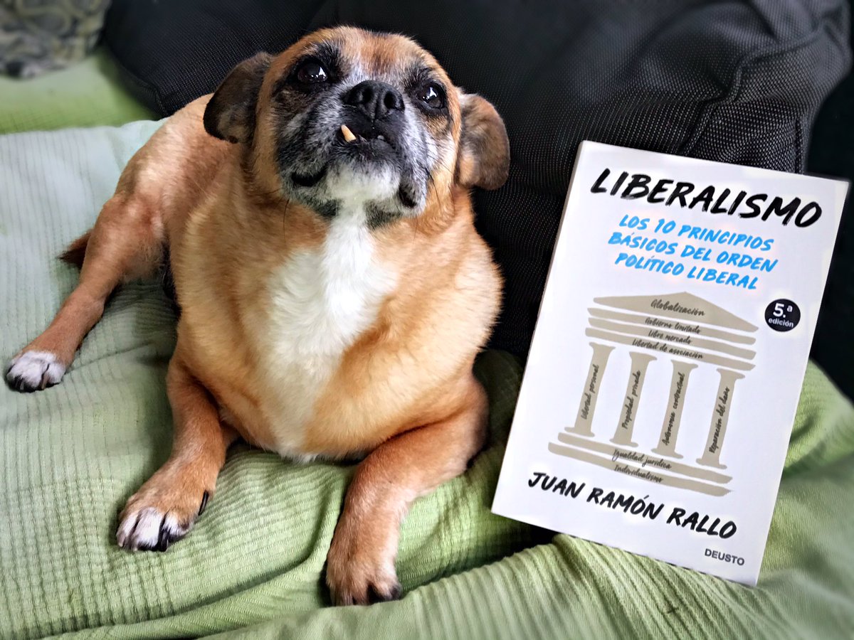 A_Berzosa's tweet photo. Dr. Manolo ha decidido quedarse con mi nuevo libro.
@juanrallo te ha salido otro admirador!
#DoNotTreadOnMe https://t.co/zjOPQmmRgx