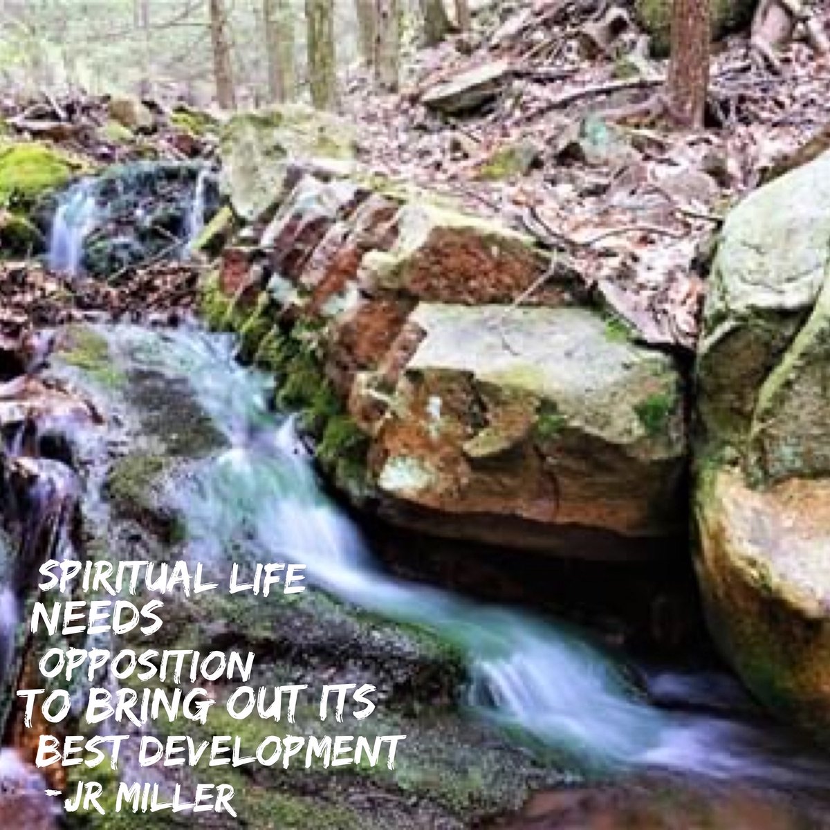 #struggle #opposition #development #growth #growingingod