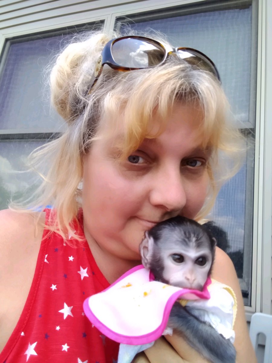 A man breaks into a home in Elkhart County and steals a pet monkey. There’s now an investigation underway and reward money for information. The full story tonight at 5 on <a href="/WSBT/">WSBT 22</a>