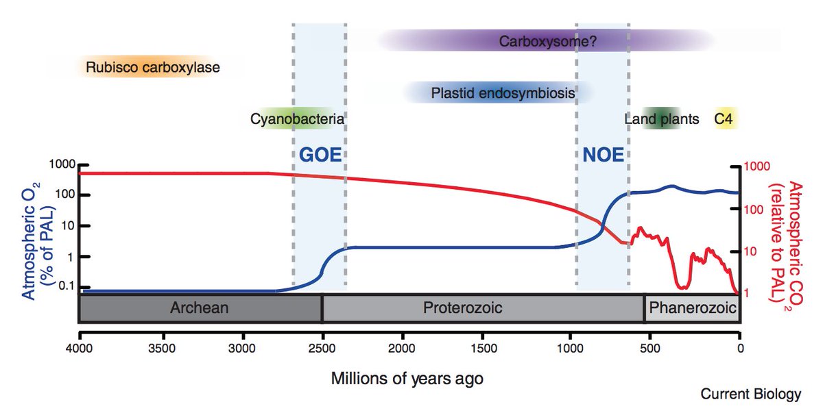 Today's atmopshere, however, contains ≈21% O2. Though we are used to talking about rising CO2 levels (true fact), it's also the case that geologic processes sequestered CO2 over very long times so that present-day CO2 levels (0.04%) are quite low in a historical sense.