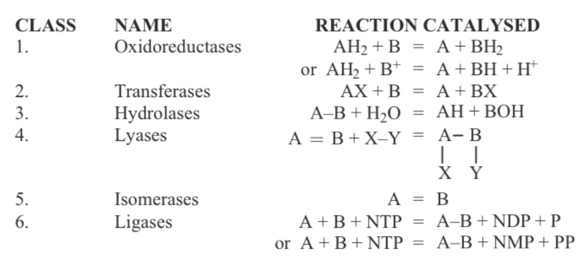 Clasificación de enzimas del Comité de Nomenclatura de la Unión Internacional de Bioquímica y Biología Molecular (NC-IUBMB).

FEBS Journal 281 (2014) 583–592