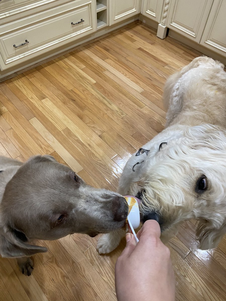 Tips for baking. 1. Clean as you go. (I’m making dog treats so don’t worry about it)