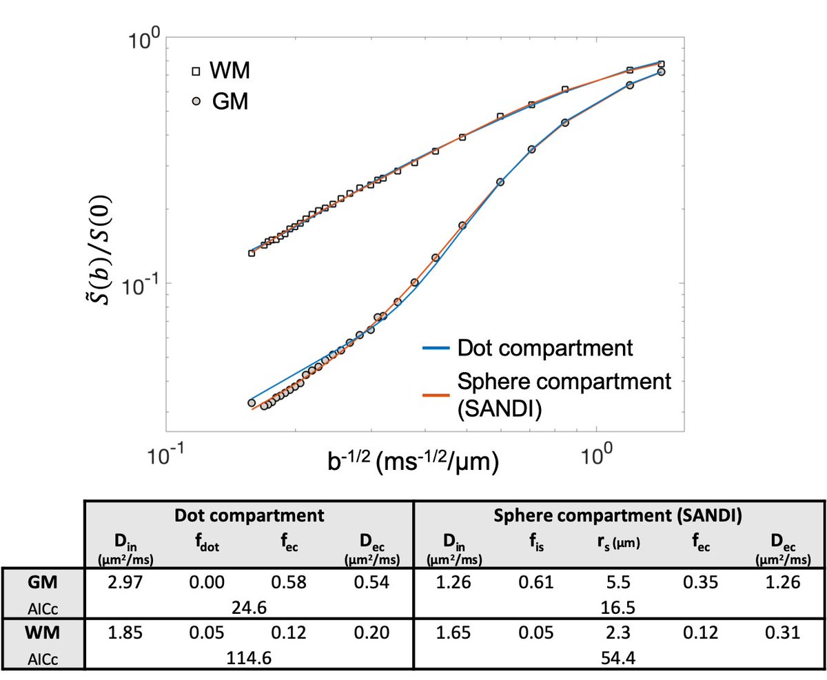 Finally, we found that, in ex-vivo mouse brain gray matter, the “sphere-compartment” introduced in SANDI provides a better fit of the dMRI signal at high b and more reasonable model parameters estimates than a “dot-compartment” counterpart. (8/9)