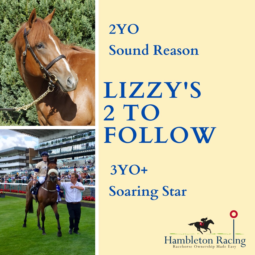 HambletonRacing's tweet photo. Second selection from Lizzy.....
3YO - SOARING STAR 🏇
A lovely scopey horse who ran a nice race on debut last year. He’s made notable physical progress and is one to look forward to over seven furlongs.
#TwoToFollow 🤩💛💙@kevinryanracing (2/2) https://t.co/lzVWlSaCrk
