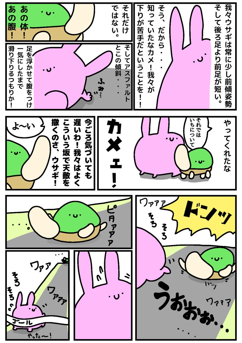 ウサギとカメ 