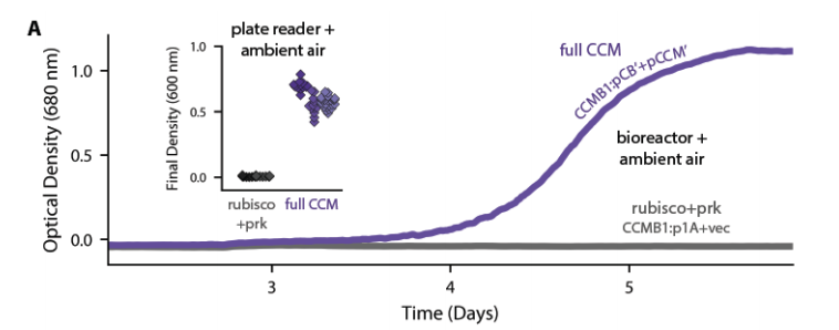 We extracted the plasmids from the mutants, mapped all the mutations by sequencing, reconstructed them individualy, and showed that the plasmids alone confer growth in ambient air. That is, no mutations on the genome were needed.