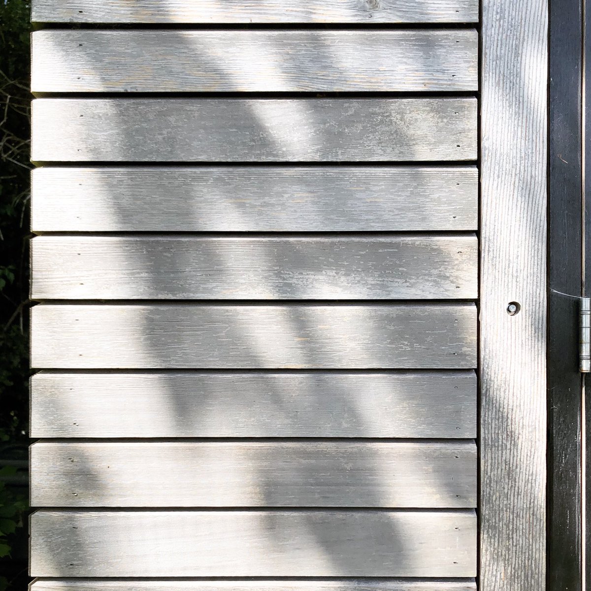 Untreated and naturally weathered. 

Cladding: Western Red Cedar 
Post: Douglas Fir. 
These materials have been in place and exposed to all weathers for almost 10 years now, improving in appearance with age.