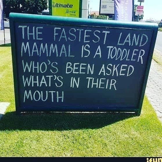 jettila's tweet photo. @ me if I’m wrong ... lol (repost toomadawg on IG)
・・・
Prove me wrong https://t.co/qFl2pOQLR7