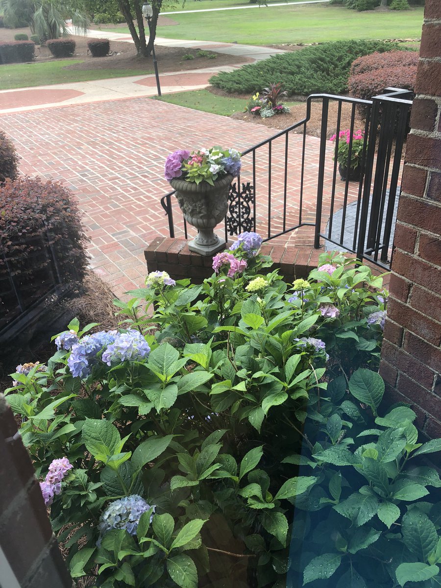 Just A Thought: Scrency is a deal breaker.                                            Pastor J💐🥰😮