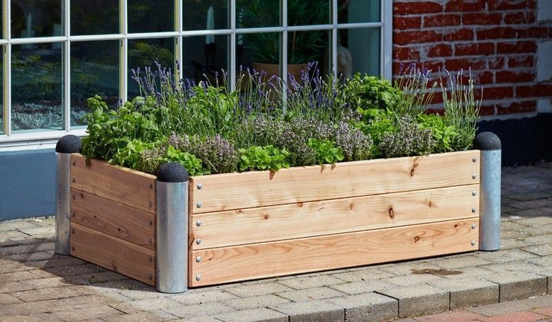 Meingartenversand De Gartenonline Twitter