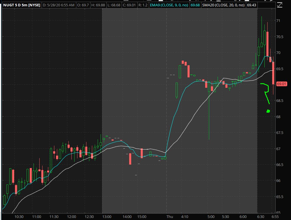 fishertrader's tweet photo. $NUGT JNUGT Always a surprise around here. https://t.co/ydd37KAe46