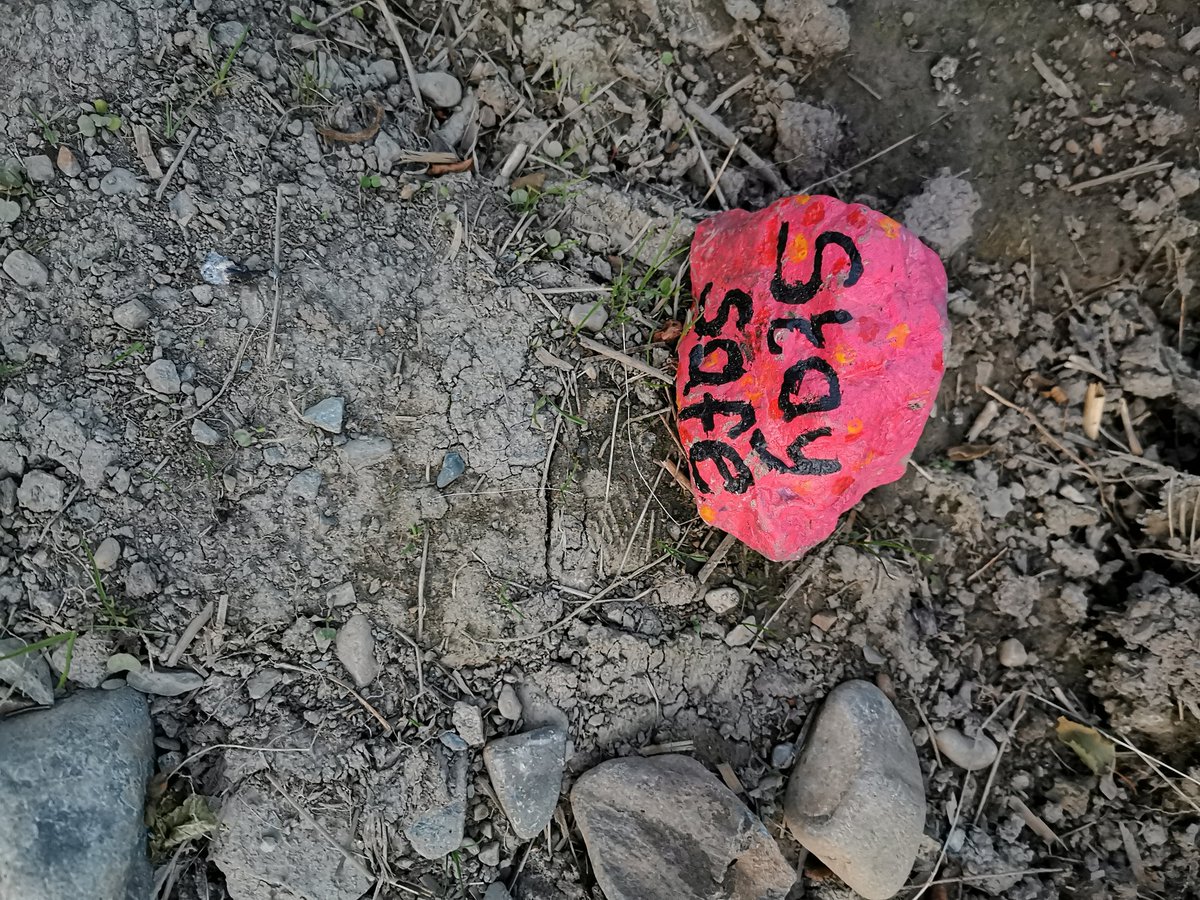 Stabannon Parnells GFC tweet media