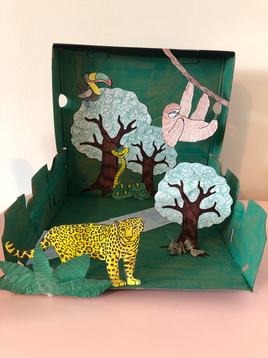 milltimbersch's tweet photo. There are too many good rainforest scenes in Primary 3 so here are some more of their wonderful creations! Well done Primary 3 #aberdeenlearns #rainforesttopic https://t.co/CzMu3mz0CQ