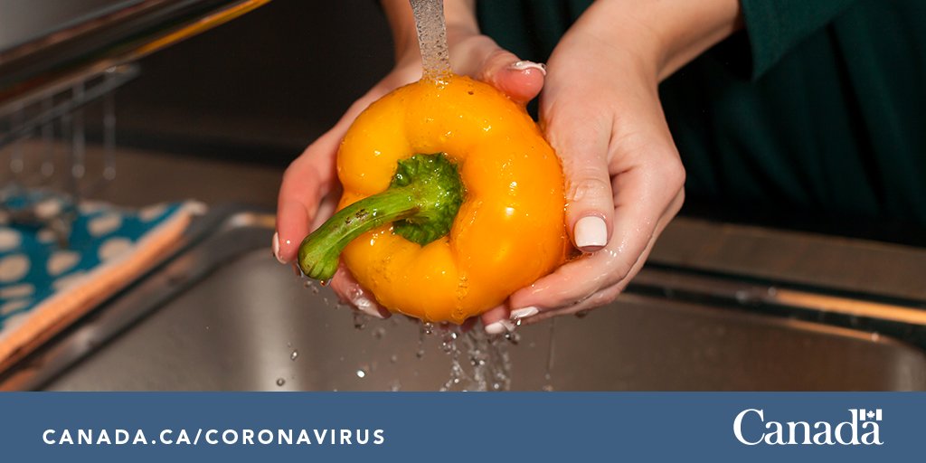 GovCanHealth's tweet image. Eating raw vegetables or fruits? Wash them under running water only. Using soap could be harmful to your health. ow.ly/SCen50zF45M #COVID19