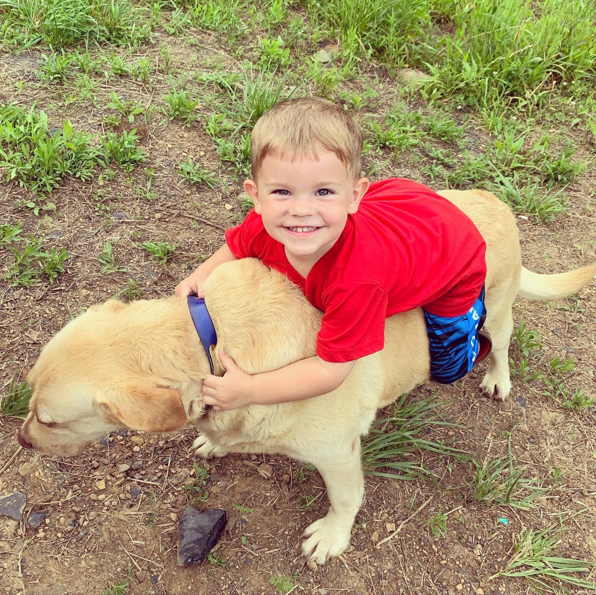 Shellie Bowling tweet media