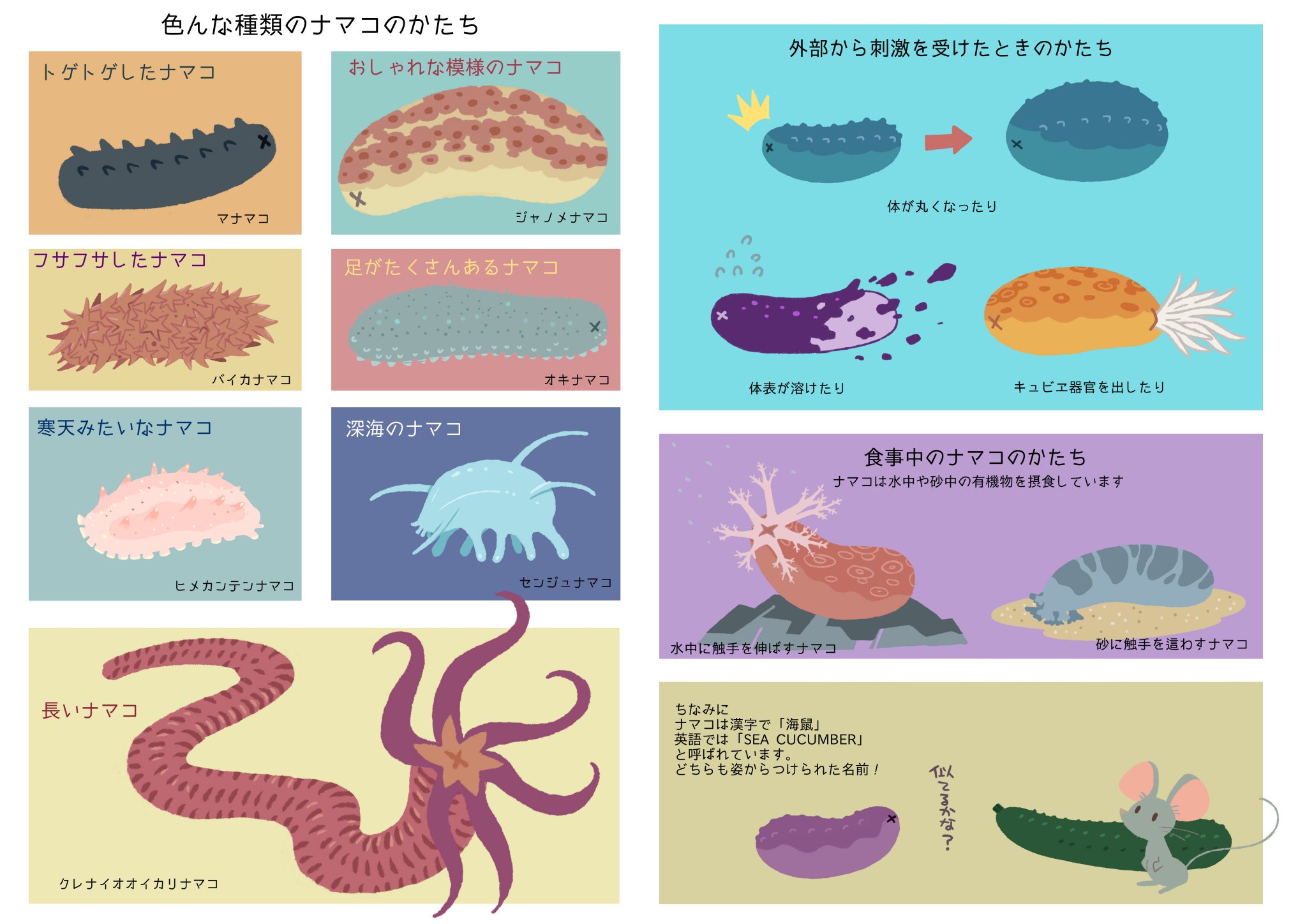 ムツ ナマコ幅 みんなの作品の振り幅見せて
