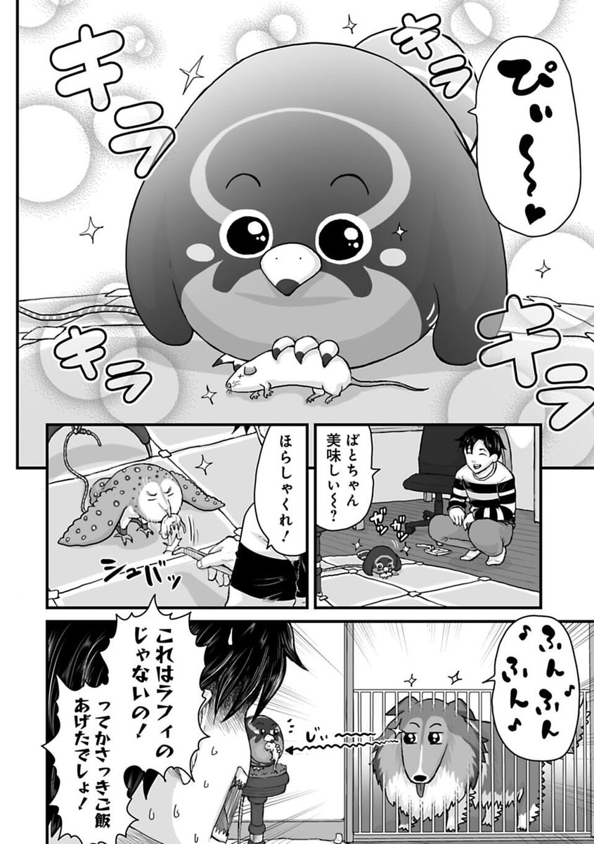 ペット漫画描いてたら格闘マンガが始まってしまった話3/12 