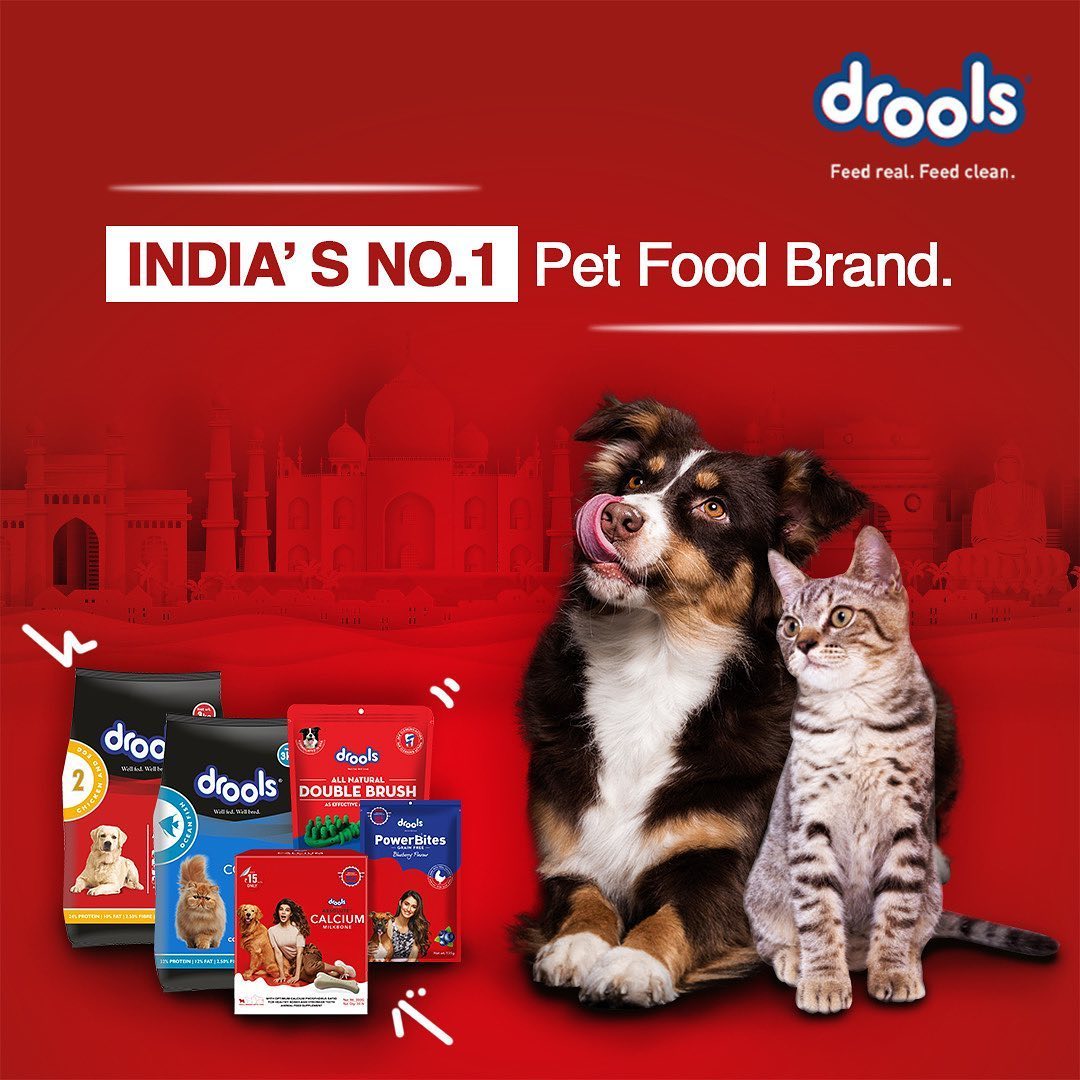 DroolsIndia's tweet photo. Drools is proud to be India’s Swadeshi brand and will always support the nation in times of need.🇮🇳 

Feed Local, Be Vocal! 🐾

#DroolsIndia #VocalForLocal #VocalForLocalIndia #FeedRealFeedClean #PetFood #MadeInIndiaSince2009 #ShopLocally #SwadeshiBrand  #LocalToGoGlobal https://t.co/DBCyk72LfQ