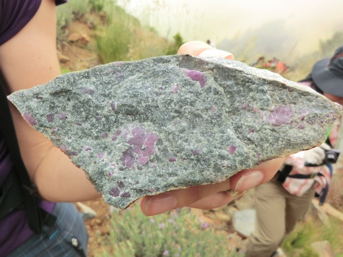 deep_sample's tweet photo. Pink-colored corundum-bearing mafic granulite alternating with peridotite: the Beni Bousera massif
ふぅ。何度見てもお美しいピンク色のコランダム(ルビー)を多産する塩基性グラニュライト (カンラン岩体に薄層状に産するのである)
#フィールドに行くまでの妄想
#randomfieldworkphoto https://t.co/s0E8U46yOB