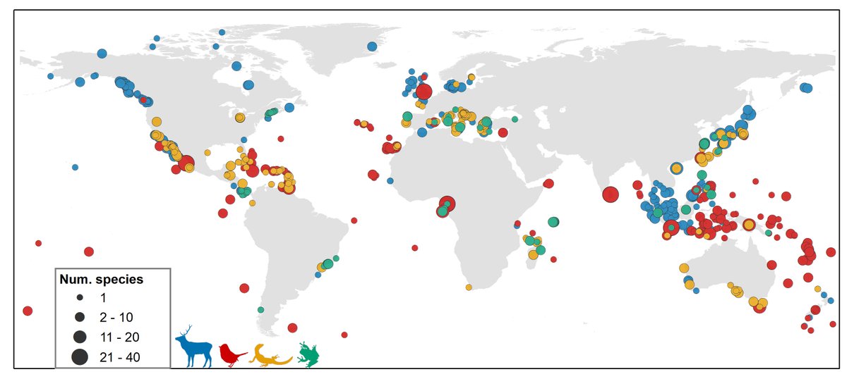 We just uploaded a preprint on the generality of the island rule. This rule has been supported & rejected by several authors since it was first postulated in 1964 by Foster. Here we revisited the rule using a global dataset of ~2000 island-mainland comparisons for ~800 species.  https://twitter.com/biorxiv_ecology/status/1266007112339030016