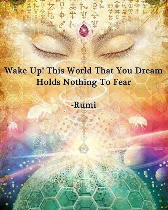 Catherine_Dale7's tweet photo. Good morning💜😌🍀 #WakeUpAmerica  #ThursdayMotivation #Rumi #Fear https://t.co/aB1seAZ25W
