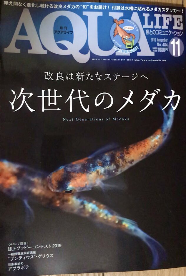 puppi 🌸ﾌﾟｰｺ🐠 tweet media