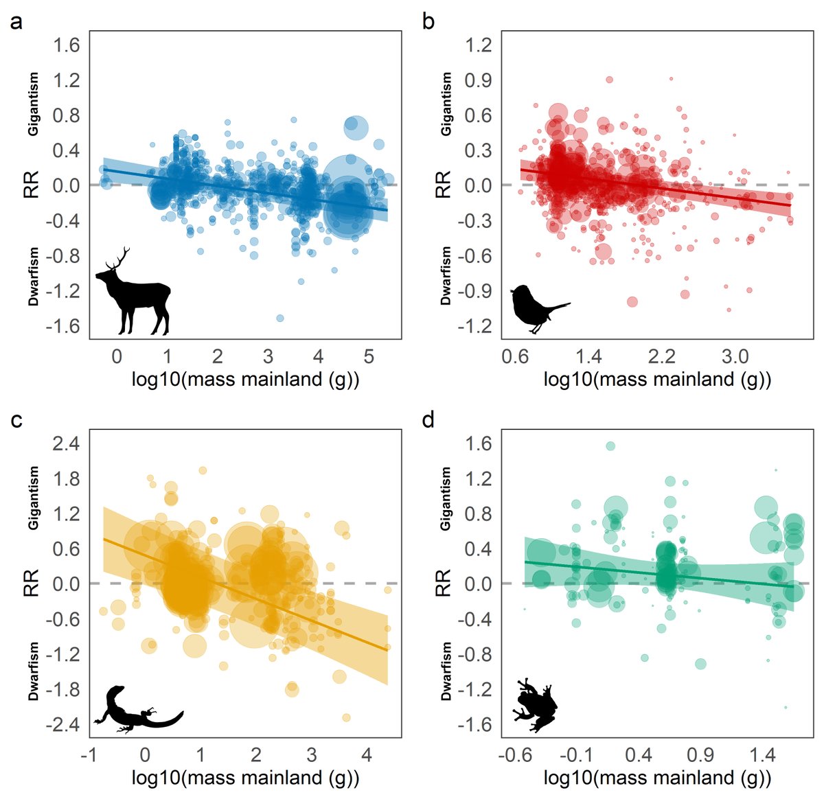 We show that ‘island rule’ effects are widespread in mammals, birds and reptiles, but less evident in amphibians, which mostly tend towards gigantism