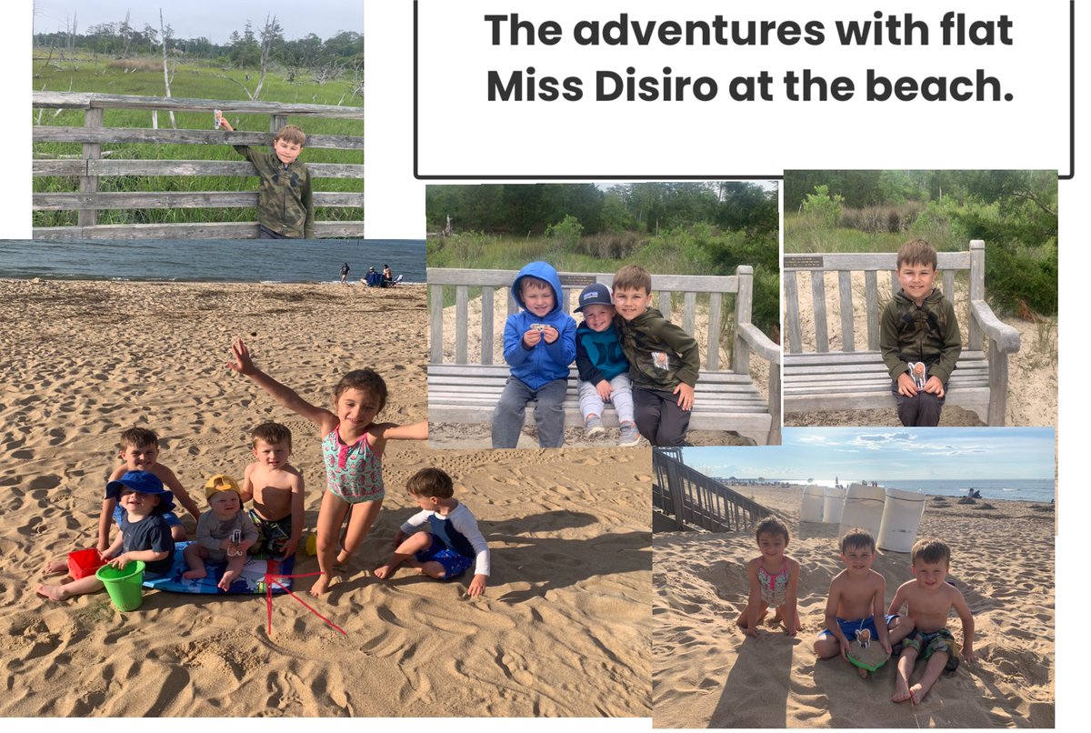 Flat Miss Di Siro went to the beach with the Bellis Family... I bet she had so much fun! 🩱🐬🏊‍♀️