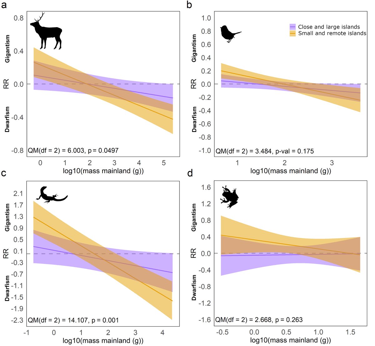 We also found that the magnitude of insular dwarfism and gigantism is mediated by island size and isolation, particularly in mammals and reptiles. In short, insular size shifts are exacerbated in remote, isolated islands.