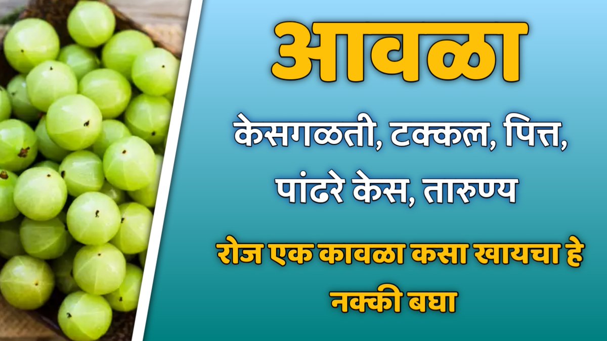 8WbKimkNPZ3ewg4's tweet photo. केसगळती, केसांतील कोंडा, लांब केस यावर आवळा कसा वापरायचा | आवळा खाण्याचे 10 फायदे | आरोग्य संपदा (व्हिडीओ लिंक पुढीलप्रमाणे)
https://t.co/7WCZZRQZFc

#म #आवळा #केसगळती https://t.co/aAnSp5IoRj
