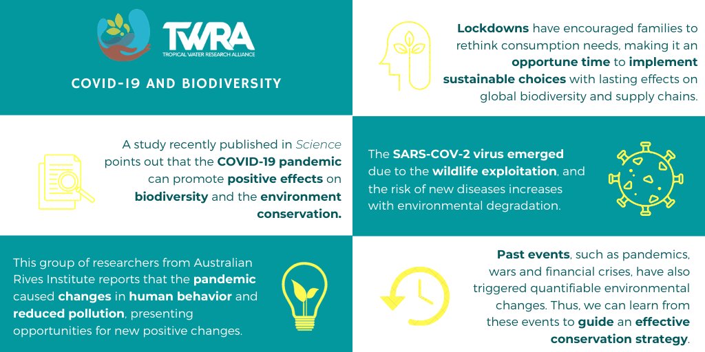 COVID-19 recovery can benefit biodiversity.

Contact us: contato@thetwra.org

#twra #COVID19 #conservation