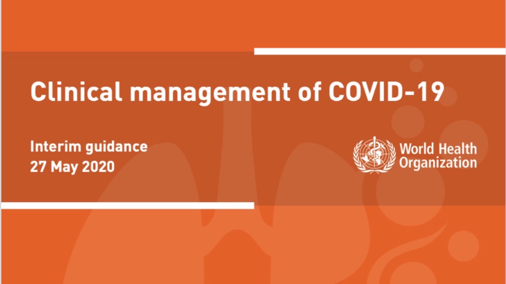 Bex Sierra tweet media