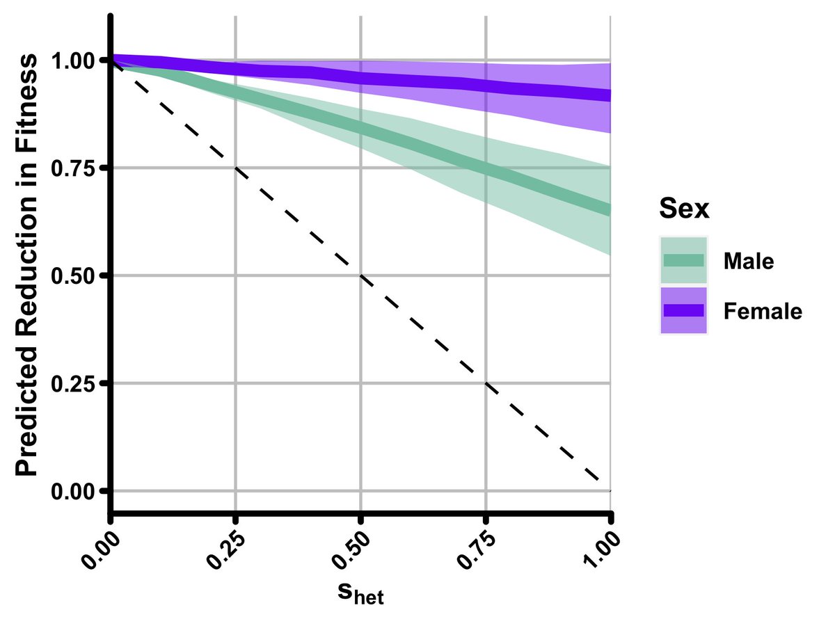 Ultimately, we found that s-het- burden likely explains ~22% of reduced fitness expected by s-het-.Obviously, there are some biases in the UKBB data and would love to see this in the context of other populations.