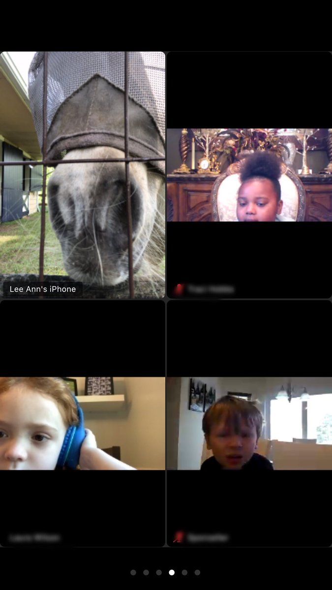 BertschLee's tweet photo. We had some special guests during our last morning meeting! 🐴 🐇 🐓 #countrydayconnected @CountryDay https://t.co/pIz7JIofCl