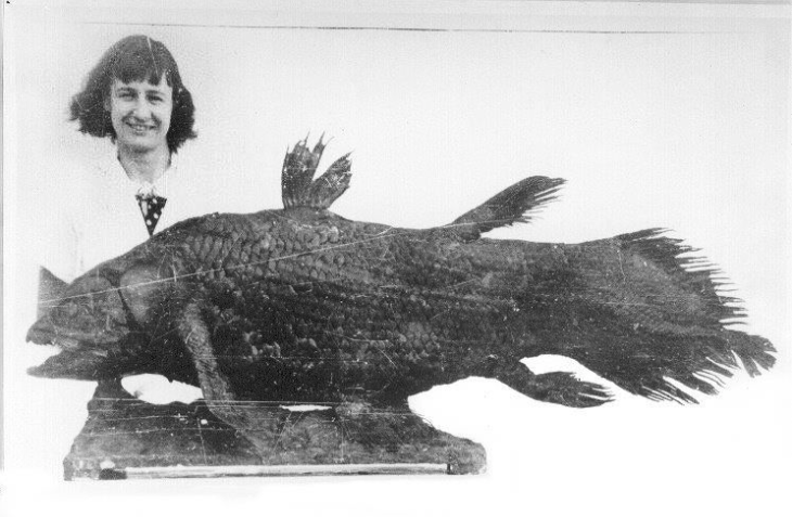 This fish was unlike any other they had seen. Marjorie Courtenay-Latimer, a curator of the East London museum and her staff, identified it as a coelacanth, a specie believed extinct since the time of the dinosaurs. The new specimen was named Latimeria after her.