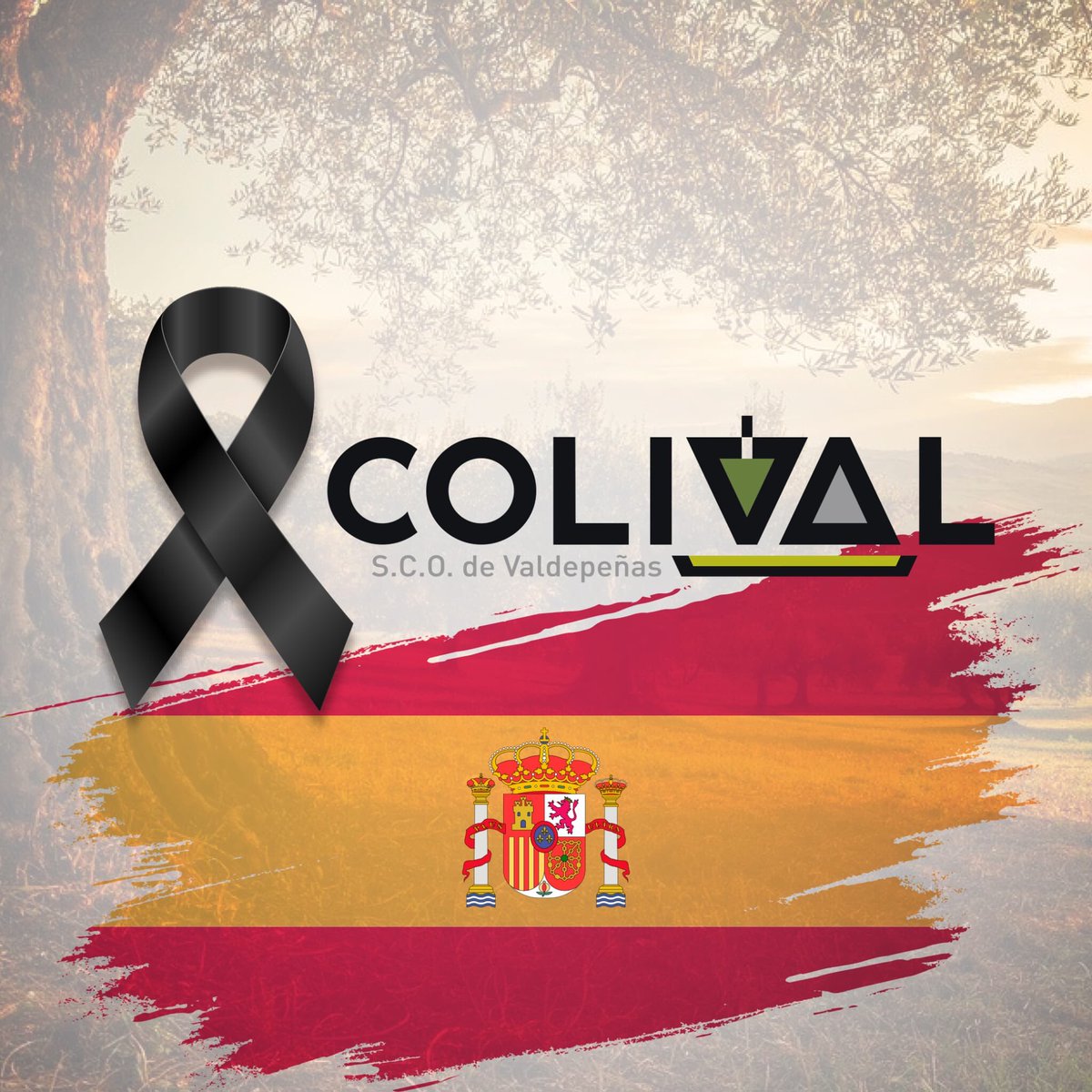 coopcolival's tweet photo. Nos unimos al luto oficial de 10 días que vive España por las víctimas del Covid19.

Detrás sin duda de cada una de las personas fallecidas había sin duda una historia vital repleta de sueños y de esperanza, de superación ante las adversidades, de crecimiento personal, constancia https://t.co/2RzR9EZBL7