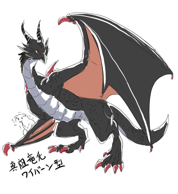ワイバーンのtwitterイラスト検索結果 ワイバーンのtwitterイラスト検索結果