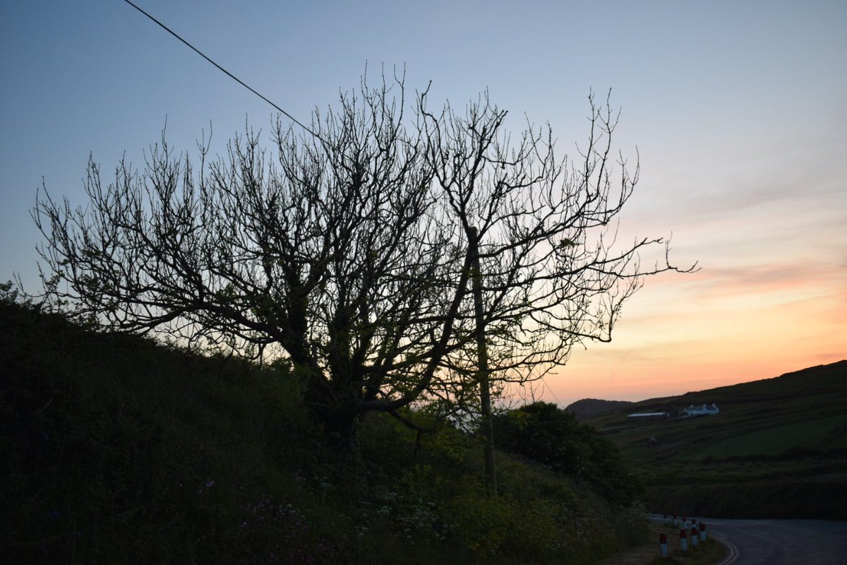 CJLimbertTenor's tweet photo. #photosofmylife day 2/7 On the walk down to Whitesands https://t.co/N680T76X9M