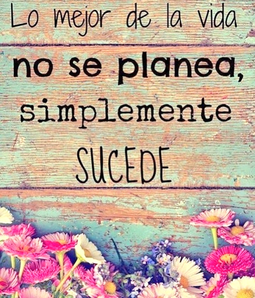 KnstjC's tweet photo. Mientras hay vida hay que seguir adelante 😉 https://t.co/G9KkigcaJM