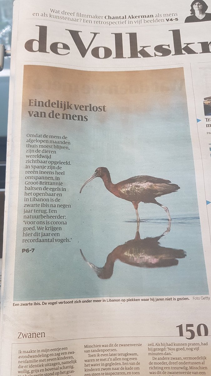 'Zomaar' wat voorpagina's vandaag