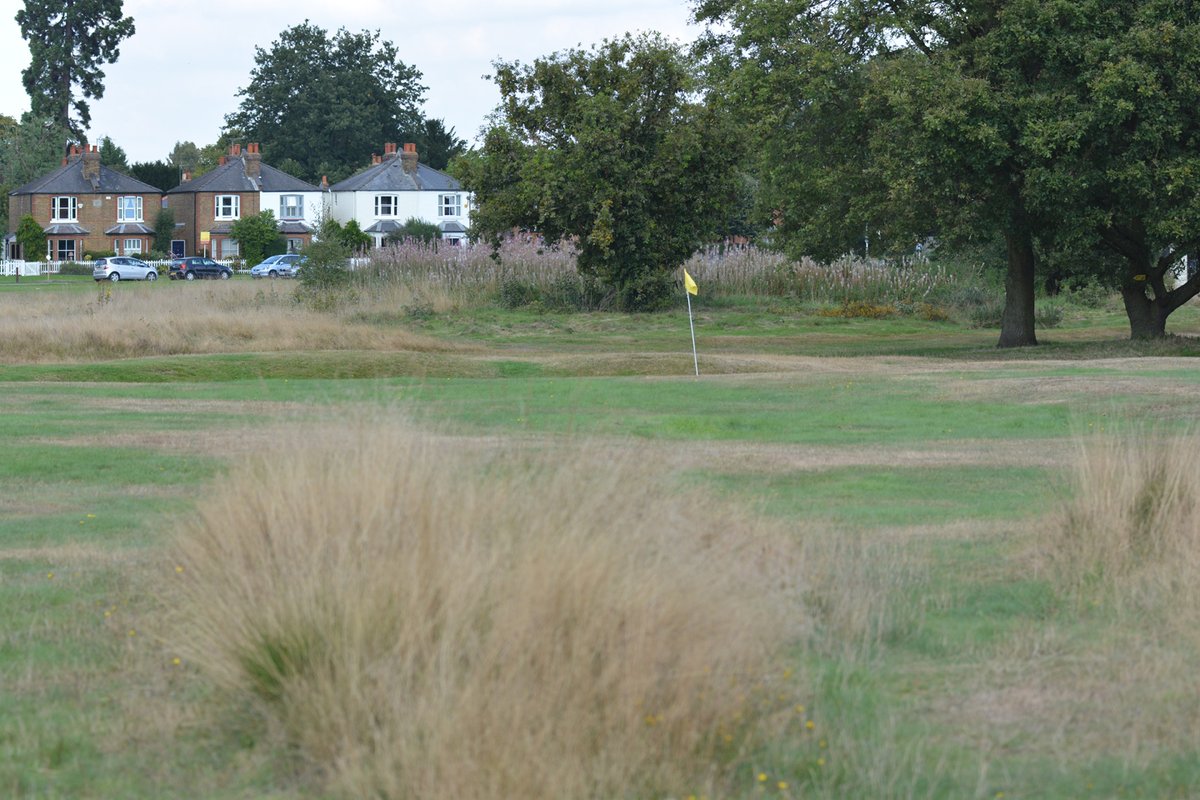 Full tomorrow, but we have availability for all after 3.00pm on Saturday and Sunday. Snap the tee times up. They will go! #golf #ThamesDitton #Esher #AllWelcome