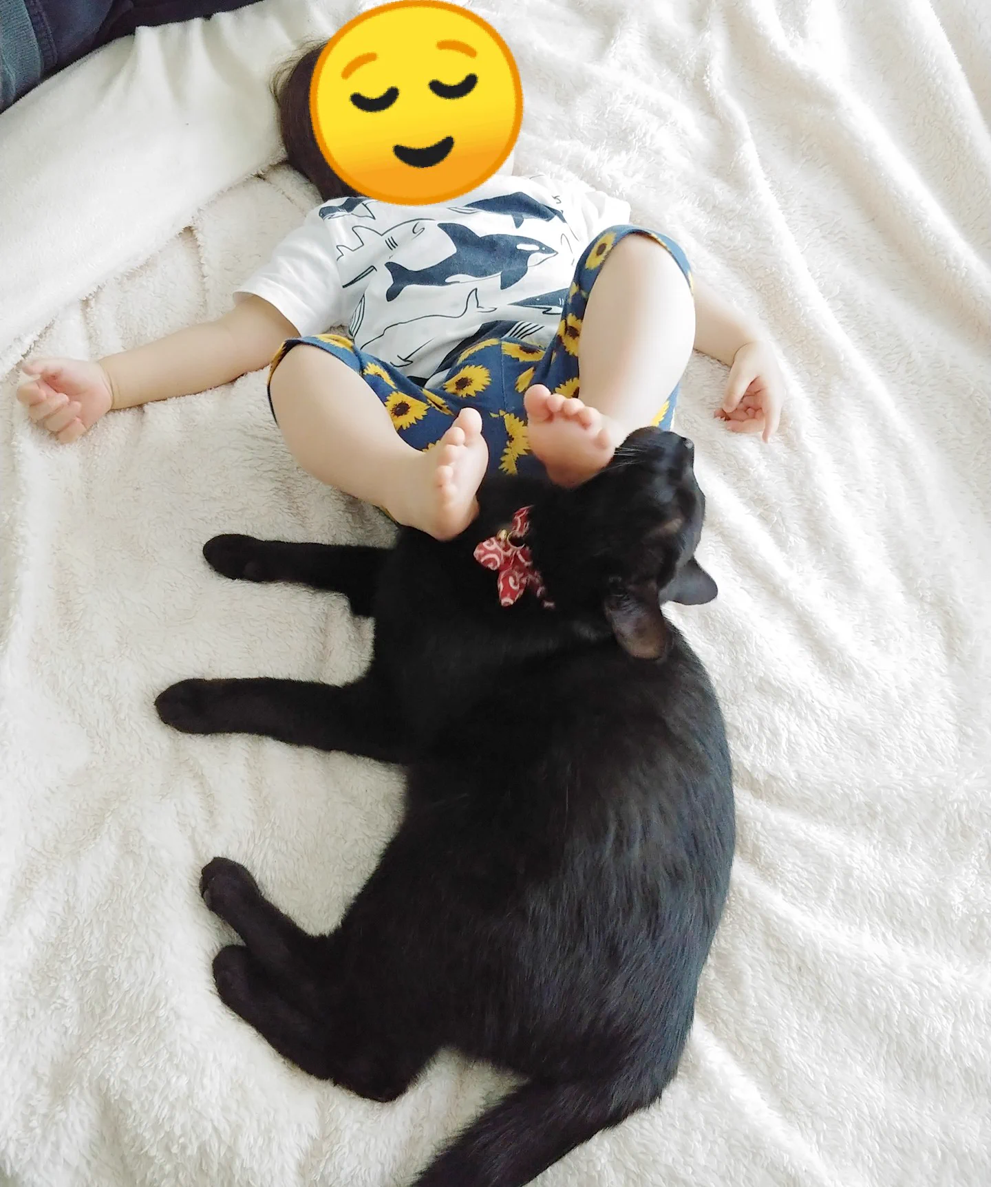 【いつまでも見ていられる癒しの4枚】むちむちな脚で蹴られる黒猫ちゃん