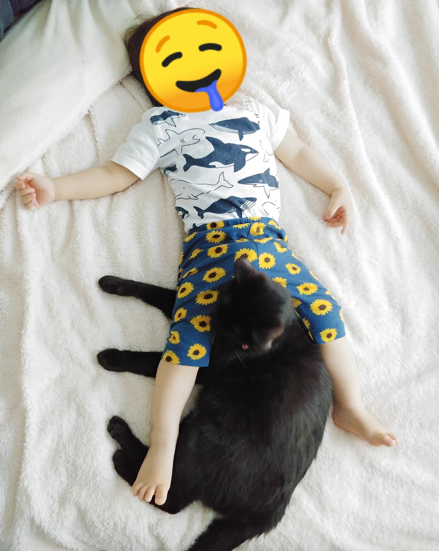 【いつまでも見ていられる癒しの4枚】むちむちな脚で蹴られる黒猫ちゃん