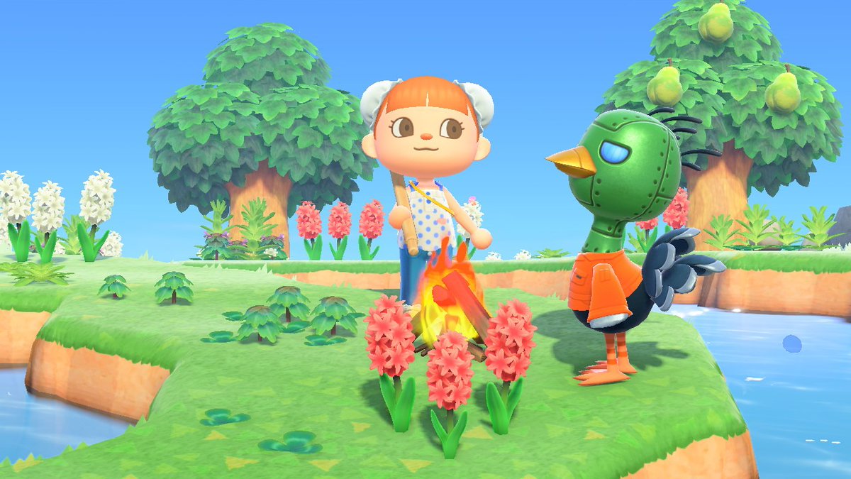 island 11: sprocketoh NO