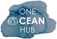 DeepStewardship's tweet image. SEMINAR TOMORROW 29 May 1.30 UCT/GMT &quot;Understanding marine science at the ocean science-policy interface&quot; with @OneOceanHub and #UNDOALOS. Register here: buff.ly/2ZCSJg5