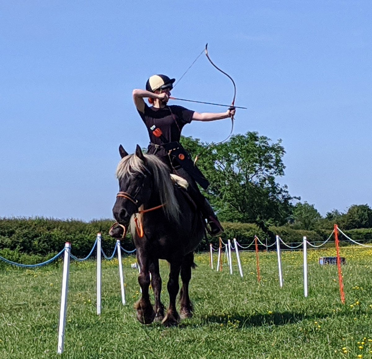 Someone was full of beans yesterday, settled down to some archery in the end though! #horsebackarchery #training #comtois #lively #horse #springgrass