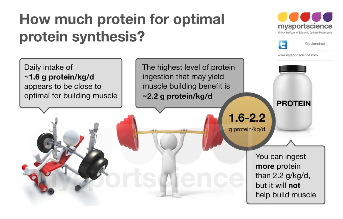 Jeukendrup's tweet photo. How much protein do I need to eat to build muscle? @mackinprof https://t.co/ThHeNecTuN https://t.co/7sAbXNH71I