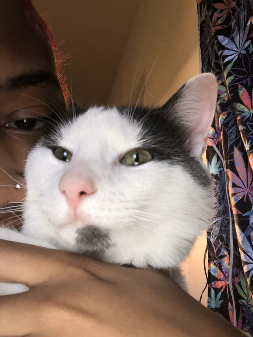 Watch luxxe bucksss's leaked NSFW photo on TwXstars