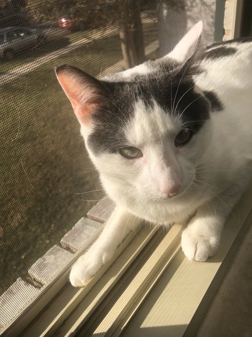 Watch luxxe bucksss's leaked NSFW photo on TwXstars