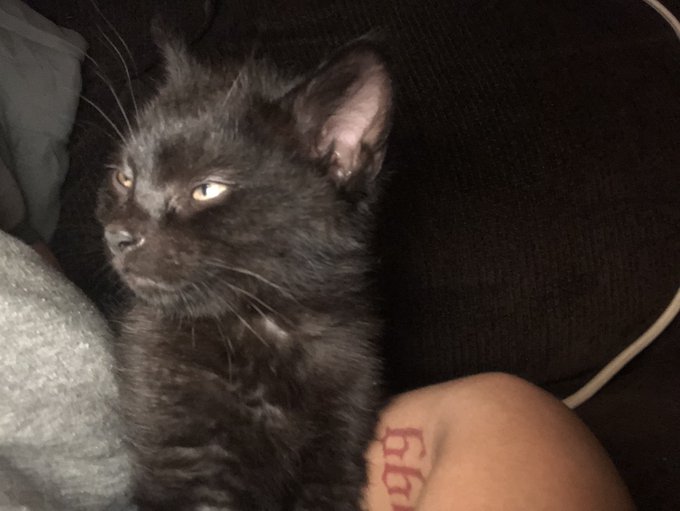 Watch luxxe bucksss's leaked NSFW photo on TwXstars